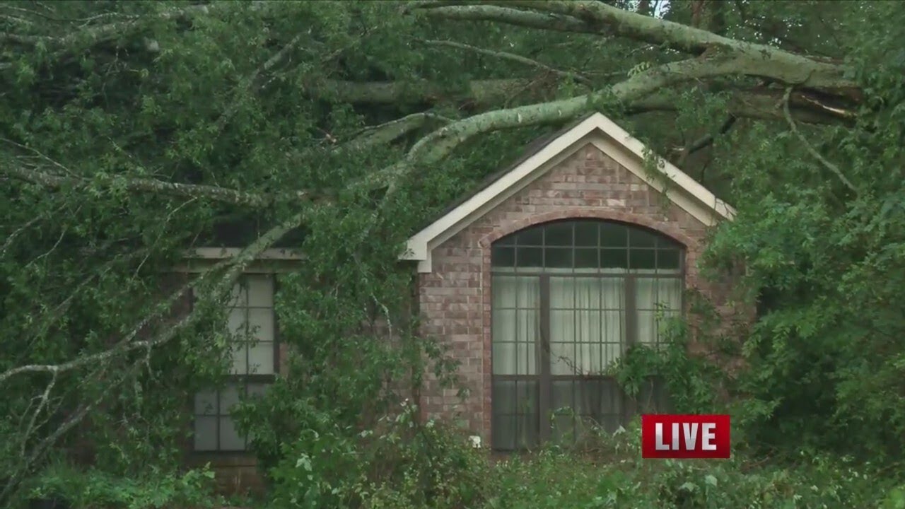 Tree falls on home in Greenbrier during Tuesday night storm - YouTube