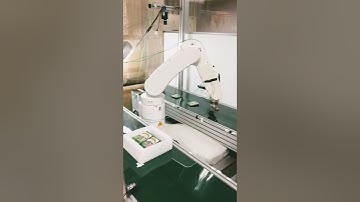 Robot conveyor tracking application - Tea bag packing