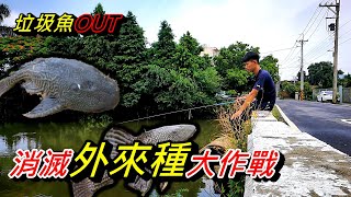 消滅外來種大作戰！滿滿的垃圾魚！雨天的邂逅～本該是魚種 ... 