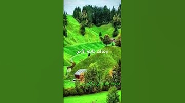 سورة التوبة