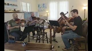 Pearl and the Oysters - Mandarin Moon string quartet version :)
