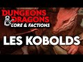 Le lore des kobolds dans donjons  dragons  lore dd