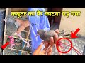 कबूतर का पैर काटना पड़ गया 😰🕊️ || Pigeon Operation 🩸