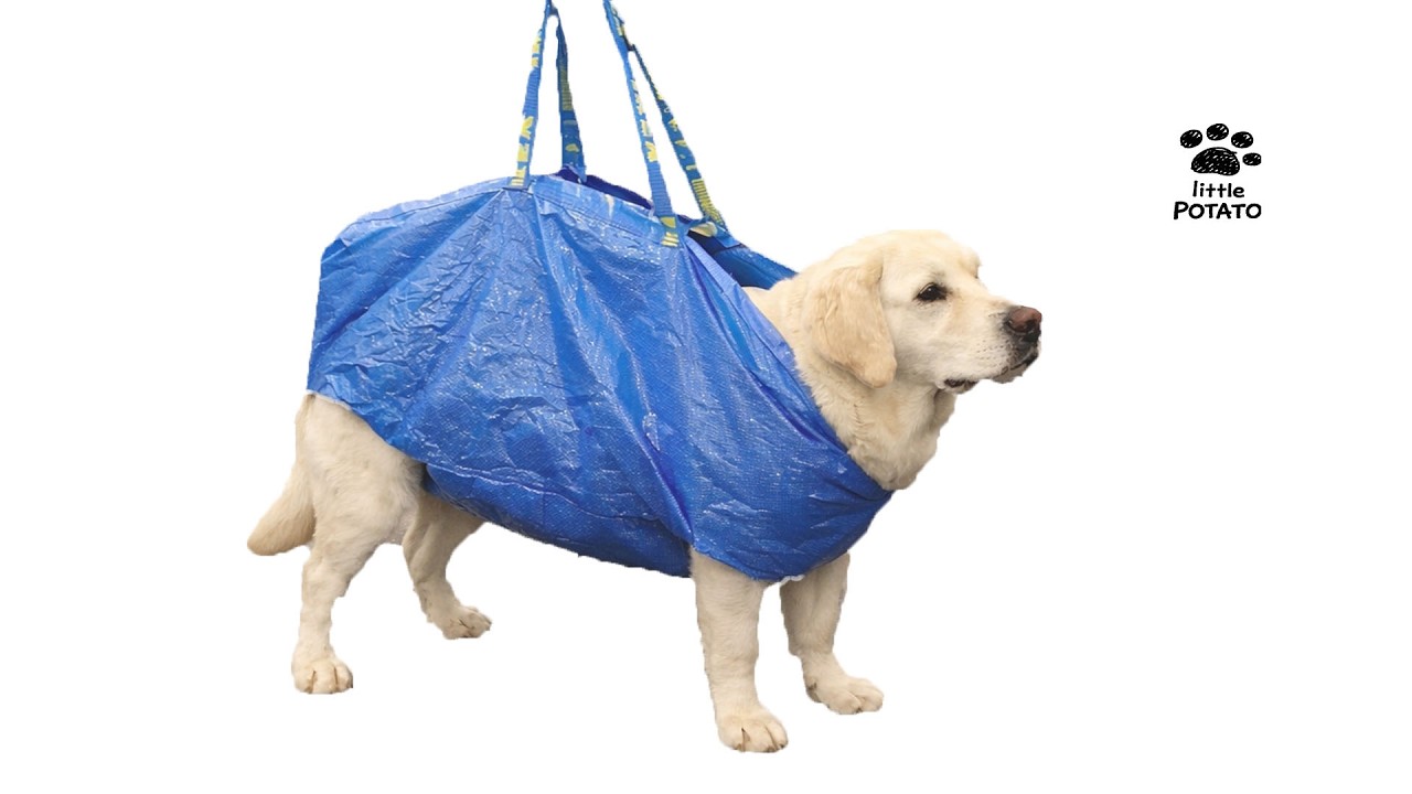 Ready for takeoff to finish my tasks 🚀 Energetic Piano BGM