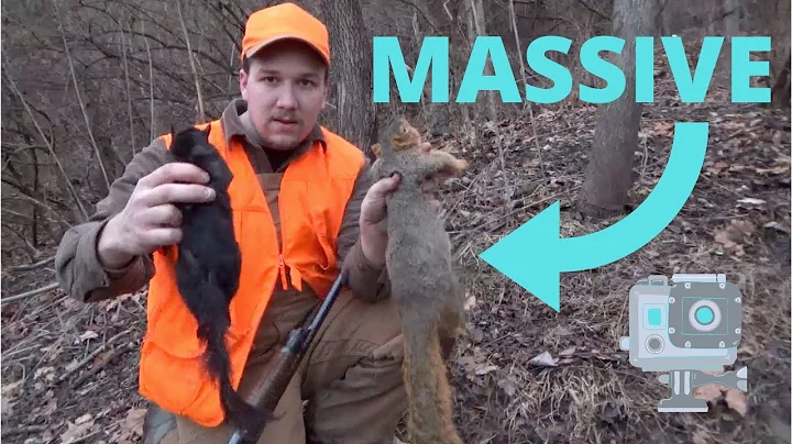 EPIC! Squirrel Hunting Pennsylvania! Self-Filmed!