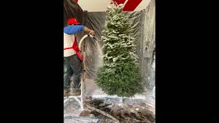 TREE FLOCKING PROCESS FOR XMAS