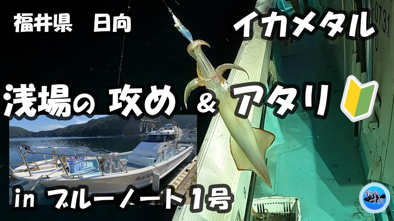イカメタルタックル特集（メキロウ仕様）