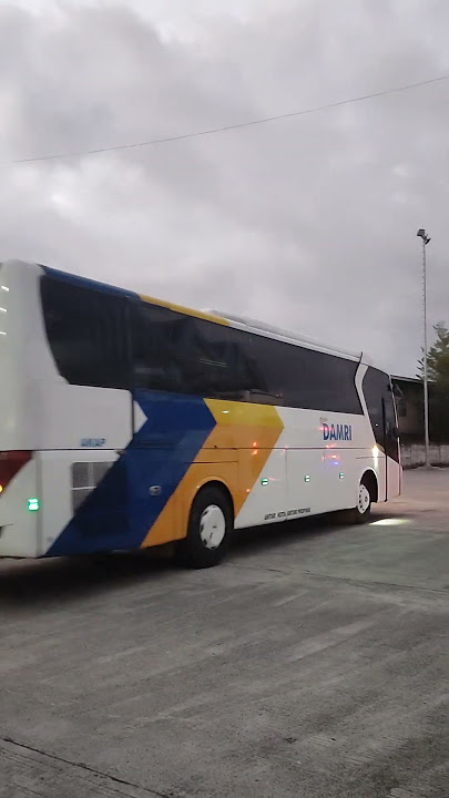 Damri Denpasar Jember - 180 Ribu Saja