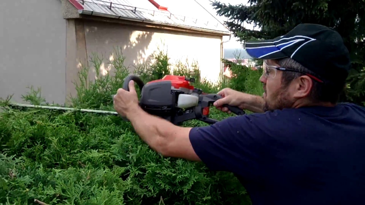 Petrol hadge trimmer Husqvarna 122HD60 Hedge Trimmer cuts Thuja Smaragd
