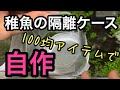 100均アイテムでめだか稚魚の隔離ケースを自作！