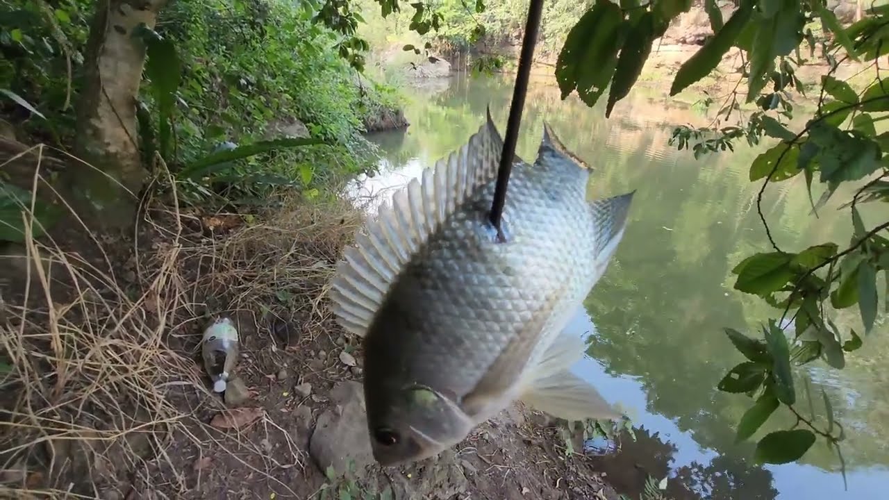 NUEVO PUNTO DE PESCA 🤫 - pesca con resortera