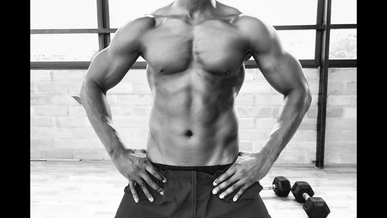 PECTORALES, BRAZOS Y ABDOMINALES. (DIA 03)