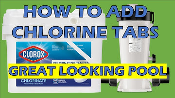 How To Add Chlorine Tablets To Your Pool | Use a Tab Feeder and Save $$$