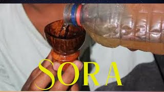 Arjun - Sora