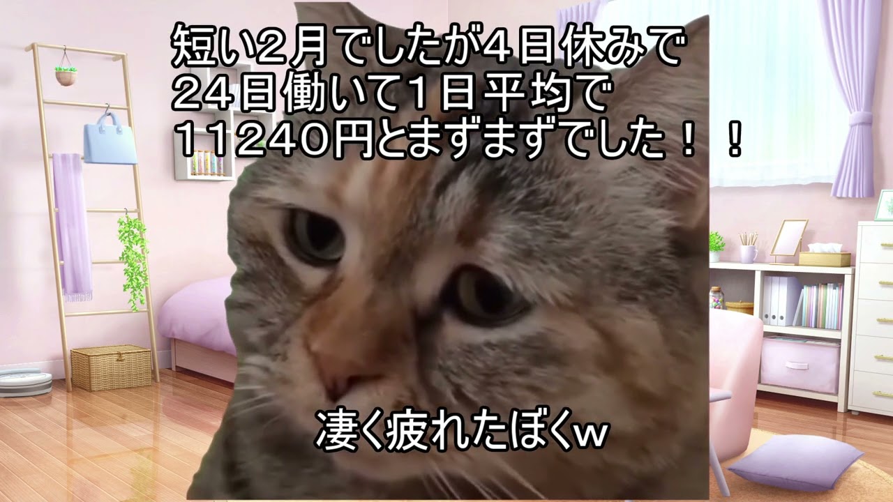 2月最後の配達を終えて帰ってきました！【猫ミーム】