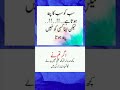 Urdu quotesgolden words shorts islam islamic deen shortyoutubeshorts viral