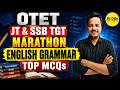 English Grammar Top MCQs Marathon for OTET, JT & SSB TGT | Selective Questions | By - Shubham Sir