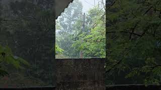 🍃 #rain #rainydays