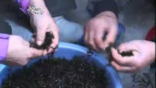 Korean Cuisine and Dining 20111201 #4