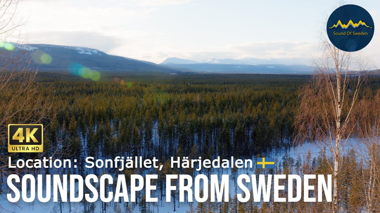 Relaxing Nature Sounds: Sonfjället, Härjedalen, Sweden — Calming Forest Ambiance