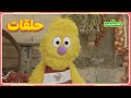 أهلا سمسم الموسم 5 الحلقة 10 جاد يتعلم المسامحة 