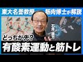 「目的によって順序変わる」筋肉博士・石井直方先生が教えるトレーニング科学！アスリートなら知っておきたい