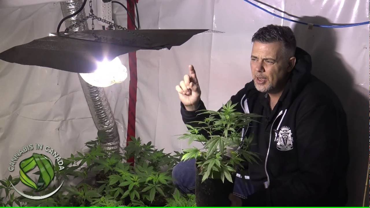 Patient Grow The Veg  Room (Part 2)