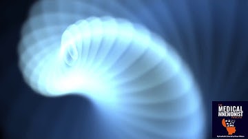 19 Memory Palaces, Spaced Repetition, and Yoda from Ryan Orwig of STATmed Learning Part 2