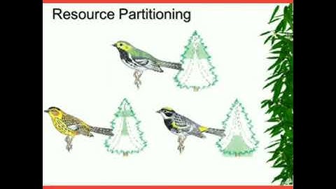 Resource Partitioning, Class-11, EVS