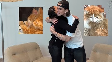 VINNIE HACKER KITTEN ADOPTION REVOLVE X PURGATORY 7 DEC