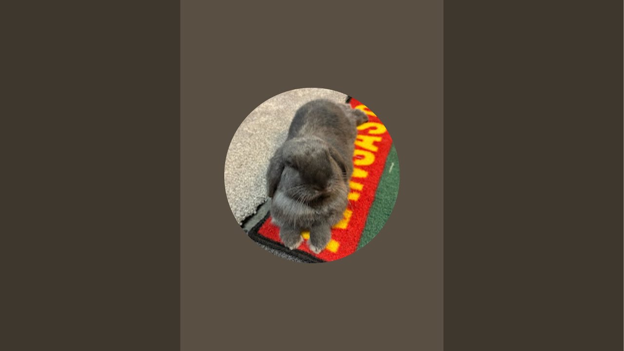 Tucker’s Bunny Adventures  is live!