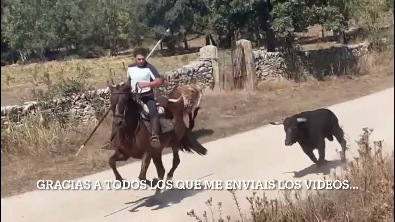 Encierros Lumbrales 2024 Martes