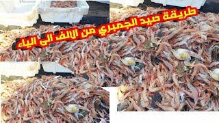 صيد البحري بالمغرب:شاهد طريقة صيد الجمبري من البديه إلى النهايه shrimp fishing