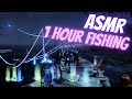 1 hour of Destiny 2 fishing ASMR occasionally broken up by public events