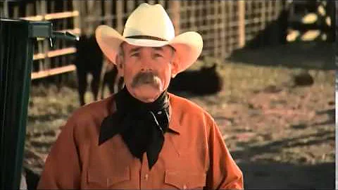 Cattle Handling Safety (C2C)