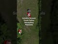 Satellite Images Reveal Drunk Father Stockpiling Fireworks