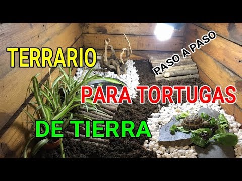 Vídeo: Com Fer Un Terrari Per A Una Tortuga Terrestre