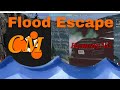 I Tried To ESCAPE A FLOOD With HammyNG(BeamNG.Drive Multiplayer)