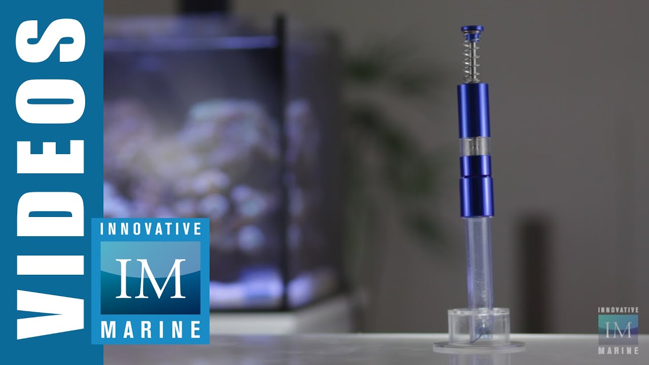 How to Feed Pellet and Flake Food to Your Fish like a Pro Innovative