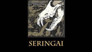 SERINGAI - Program Party Seringai Lirik (Live Konser)