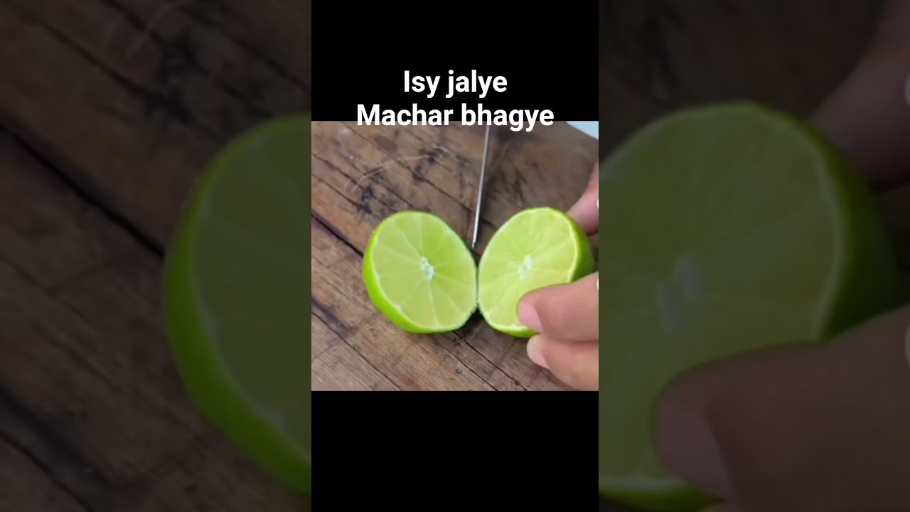 Macharo nay Kia Bora Hal 