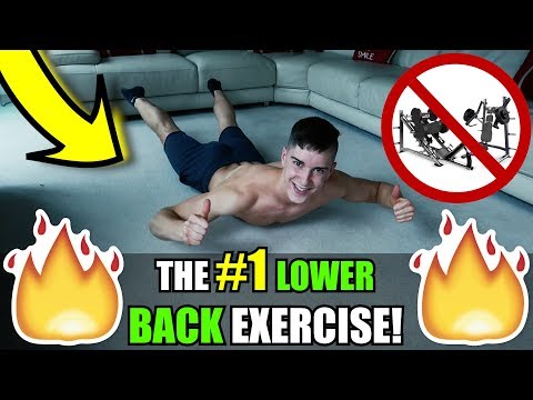 Build A Strong Lower Back WITHOUT EQUIPMENT 💪 (NO MORE BACK PAIN!)