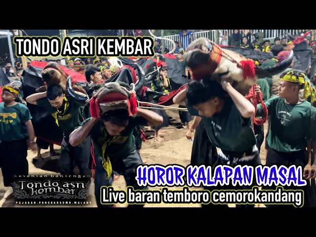 HOROR KALAPAN MASAL || TONDO ASRI KEMBAR || live BARAN TEMBORO 06/03/2924 malang class=