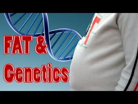 Is Being Fat Genetic? Does A Fat Gene Make Us Overweight Or Obese? Psychetruth Nutrition