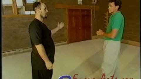 Xing Yi Internal Martial Arts Demonstration