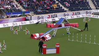 2017 AWC Team Agility - 1st place Team Poland