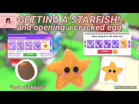 How To Get The FREE STAR FISH Pet In Adopt Me Roblox (Coming Soon!) 