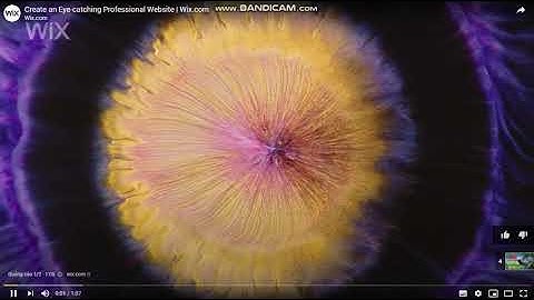 Những Câu Nói Hay Giúp Bạn Lấy Lại Niềm Tin Và Động Lực Trong Cuộc Sống