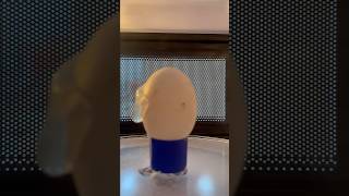 Egg in microwave! HUGE EXPLOSION!!