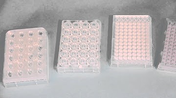 REMS Robotic TEER Measurment for High Throughput Screening